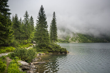Mountain road, forest path, journey in a national park.
