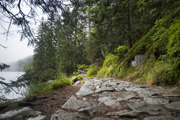 Mountain road, forest path, journey in a national park.
