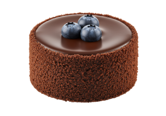 A perfectly formed individual mini chocolate cake, white background isolated