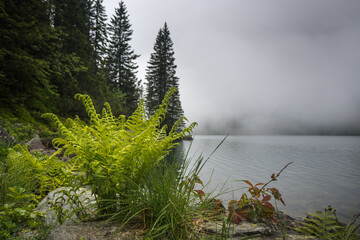 Mountain lake in the fog, mountain landscape.
