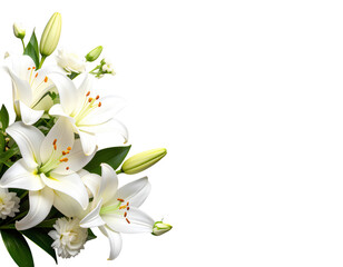 Fototapeta premium Condolence Card with White Flowers on Transparent Background PNG