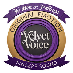 Velvet Voice Romantic Script Logo Design

