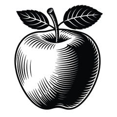 Classic engraved style apple with two leaves and stem