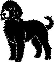 Spanish Water Dog
 silhouette  vector black , white background  