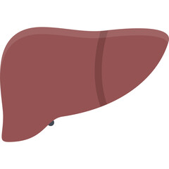liver icon