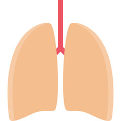 Fototapeta premium lungs icon