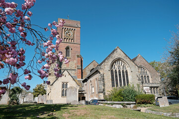 Church of St Mary the Virgin with blue sky and cherry blossom on a spring day. Petworth, England.