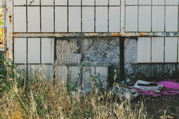 Urban decay reveals nature's resilience at the abandoned site under the warm afternoon glow