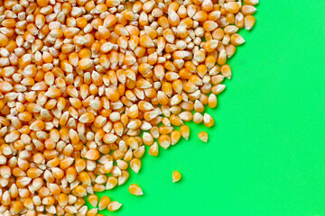 Yellow raw unpopped popcorn kernels