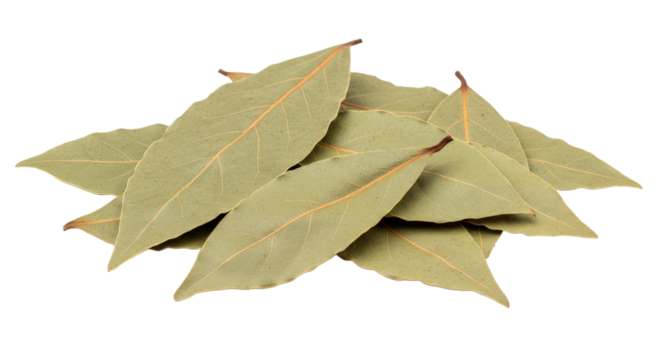 Dried bay leaves, aromatic herb isolated on white background