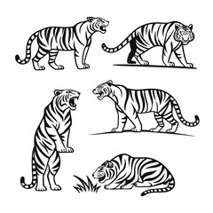 Fototapeta premium Animal Vactor