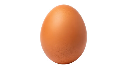 Isolated Chicken Egg