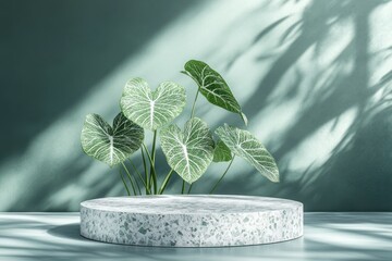 Blank mockup podium in terrazzo texture, caladium leaves moving with light, 3D realism