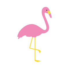 Toucan – Tropical Bird Illustration (Vector)