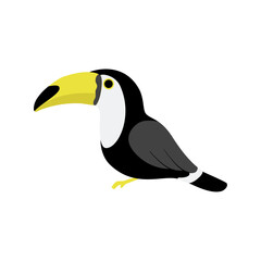 Toucan – Tropical Bird Illustration (Vector)