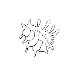 Black outline seashell icon. Clip art, simple illustration of marine shell in doodle style. Aquatic creature in ocean. Suitable for summer design, kids activity or educational materials