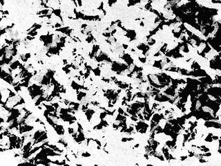 Abstract black and white texture with intricate patterns resembling natural elements on a textured surface