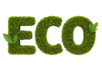 Isolated Green Moss Covered 'ECO' Text with Leaves