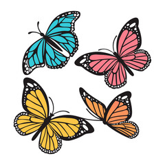 Butterfly Vactor