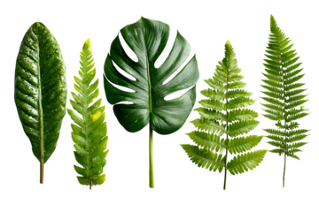 Cute newborn crochet shoes in light pink with rounded toe and detailed stitching, isolated on transparent background