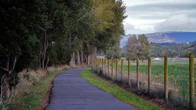 A View from He Ara Kotahi Shared Pathway, Palmerston North