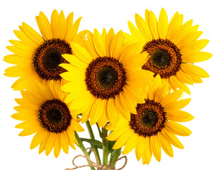 Obraz premium Rustic Bouquet of Sunflowers Tied with Twine – Diagonal Angle Floral Arrangement, Transparent Background