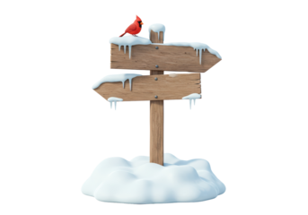Isolated Winter Cardinal on Snowy Directional Signpost