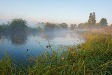 misty morning on the river