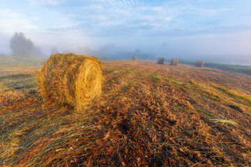 straw bales in the field