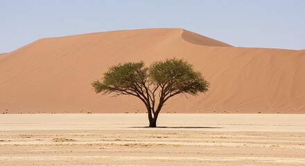 Single Green Tree Standing in Desert with Large Sand Dune Under Clear Sky