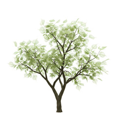Lush Green Tree: Nature Illustration, Perfect for Design Projects