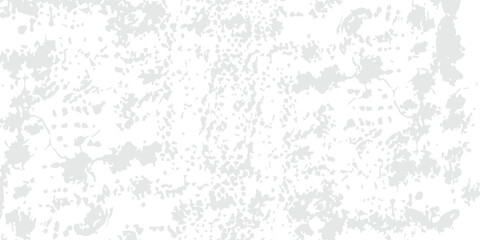 World map Grayscale,isolated on white background for website layouts,background,education, precise,customizable,Travel worldwide,map silhouette backdrop,earth geography, political modern