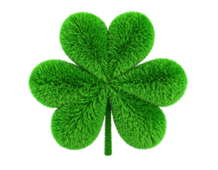 Plush fluffy four leaf clover symbolizing luck and fortune isolated on white background

