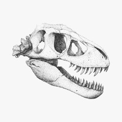 Naklejka premium Dinosaur skull, stipple pen illustration with threshold shadows and gritty halftone noise, vintage paper photocopy texture, nostalgic feel.