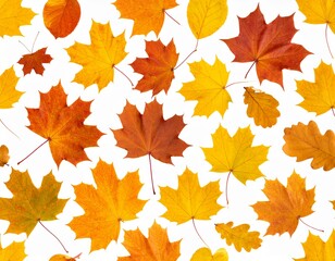 다양한 가을 단풍잎들이 우아하고 자연스럽게 배열된 심리스 패턴