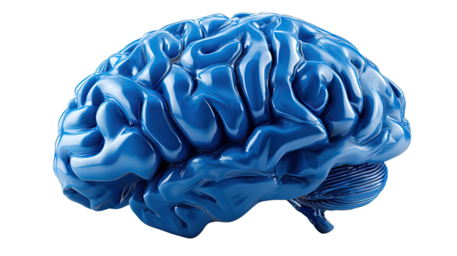 The Mind's Blueprint: A luminous rendering of the human brain, rendered in calming blue, hinting at the depths of thought and cognitive processes.