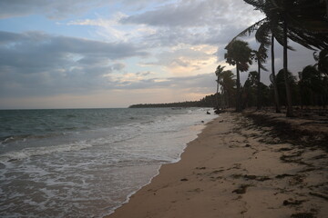 sunset on the beach, seashore view, coconut trees on the beach, tamilnadu, India, asia rameshwaram, ramanathapuram,