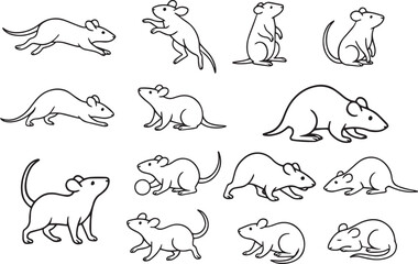 Fototapeta premium Diverse rat poses collection rodent animal