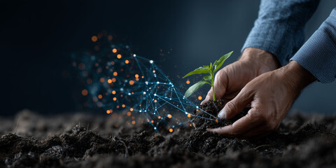 Innovations in food security sustainable agriculture practices global farm soil digital insights close-up view