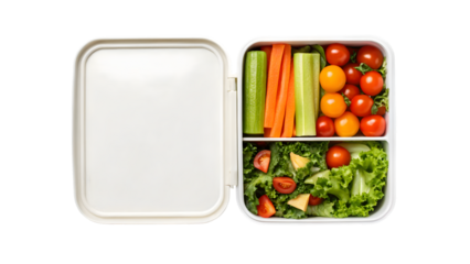 full lunchbox with container care vegetable and salad in healthy top view top showing nutrition and diet blend meal through food fresh isolated on white 82098123 1