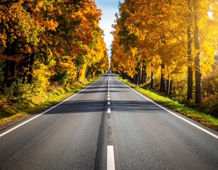 Obraz premium Autumn road through a golden forest