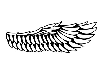 Wings sketch. Stylized birds wings. Hand drawn contoured stiker wing in open position. Vector design elements in coloring style