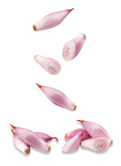 shallots isolated on transparent background, close up