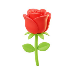 red rose on white background