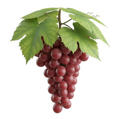 bunch of grapes