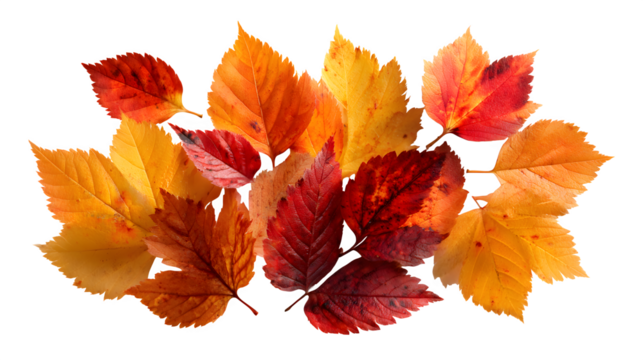 Cute newborn crochet shoes in light pink with rounded toe and detailed stitching, isolated on transparent background