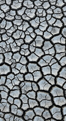 Close-Up View of Cracked, Dry, Parched Earth Surface