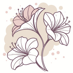Elegant floral illustration featuring three delicate flowers with outlines and pastel color accents