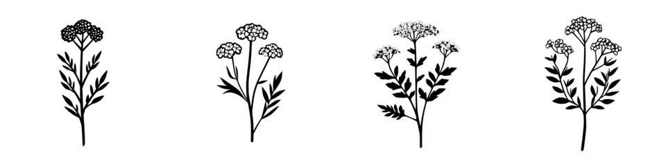 Obraz premium Floral icon collection featuring varying designs of black silhouette flowers on a white background