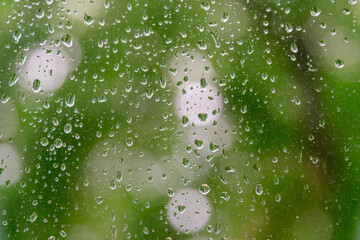Rain drops on the window on the green background.